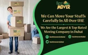 Movers and Packers in Marina Dubai 5 best tips to move your house fast