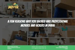 Hire Professional Movers and Packers in Dubai