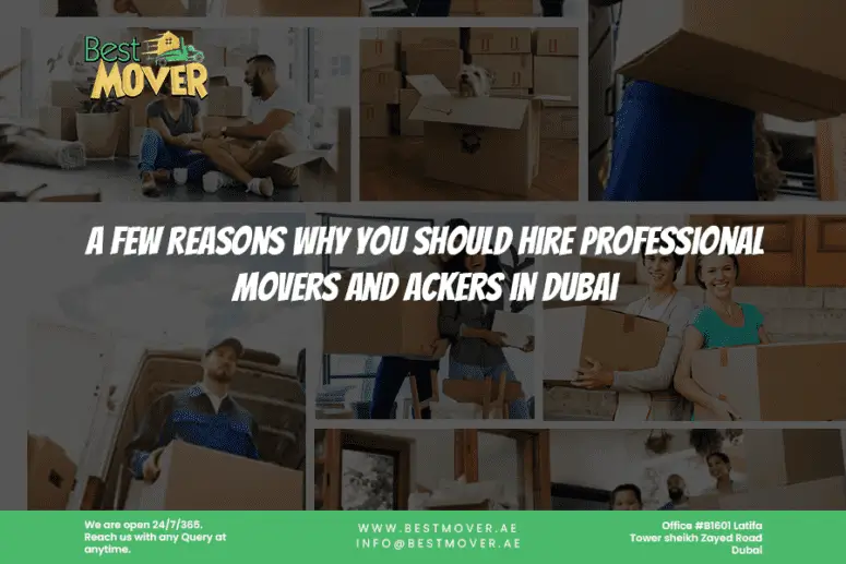 A Few Reasons Why You Should Hire Professional Movers and Packers in Dubai