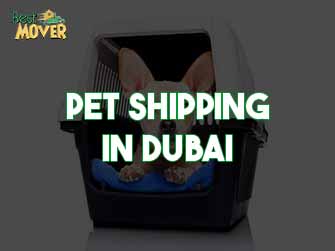 Pet Shipping