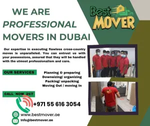 Ways to plan your move in Dubai According to Best Mover 1 Ways to plan your move in Dubai According to Best Mover