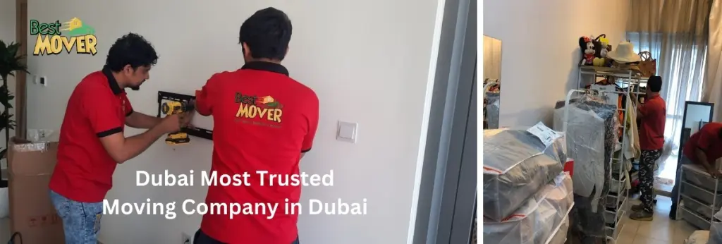 movers and packers in Motor City