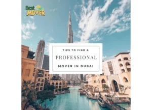 Tips on Finding a Professional Mover in Dubai